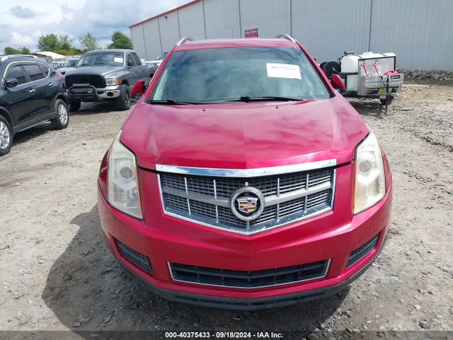 Продажа на аукционе авто 2010 Cadillac Srx Luxury Collection, vin: 3GYFNAEY2AS515845, номер лота: 40375433