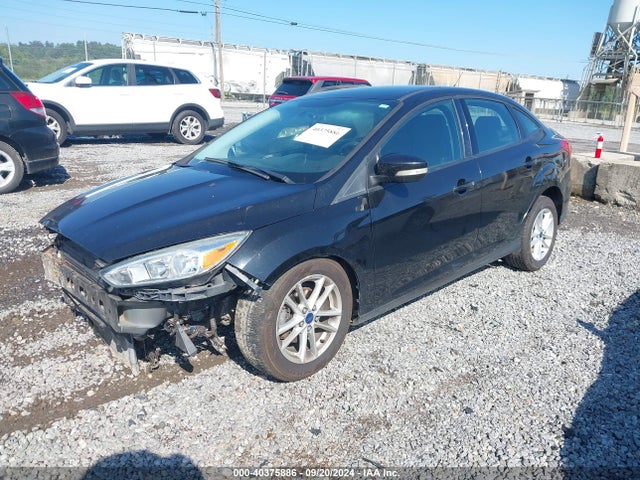 Ford FOCUS SE 2015 1FADP3F25FL323223 Image 2