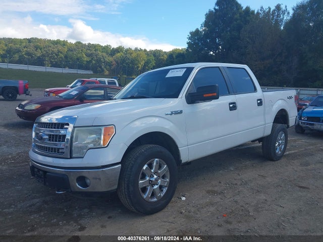 Ford F-150 Xlt 2014 1FTFW1EF6EKD98967 Image 2
