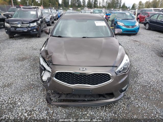 KNALN4D74E5147880 KIA Cadenza Premium
