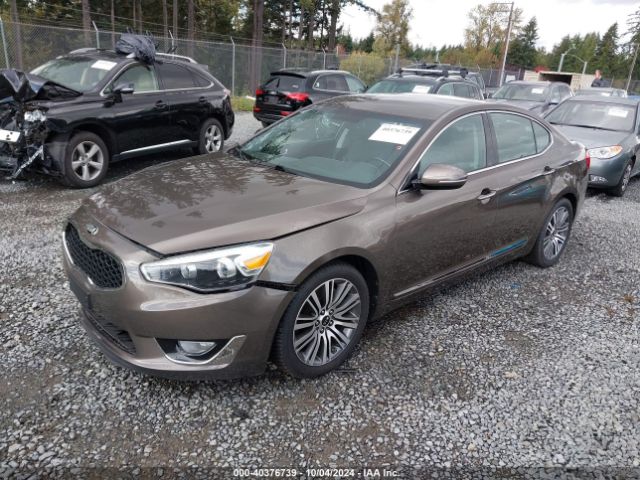 KNALN4D74E5147880 KIA Cadenza Premium