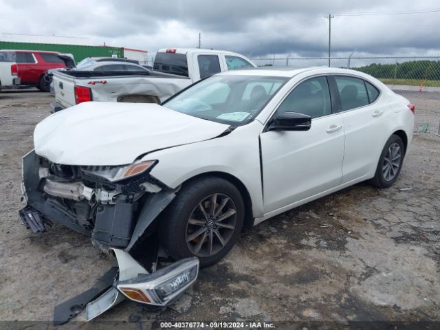 19UUB1F3XJA006047 Acura TLX