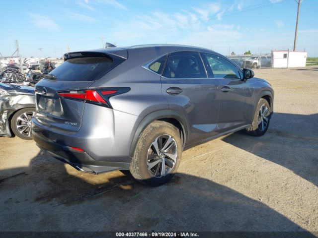 JTJBARBZ9J2163528 Lexus NX 300