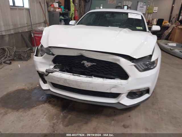 Ford Mustang Ecoboost 2017 1FA6P8TH7H5300922 Image 12