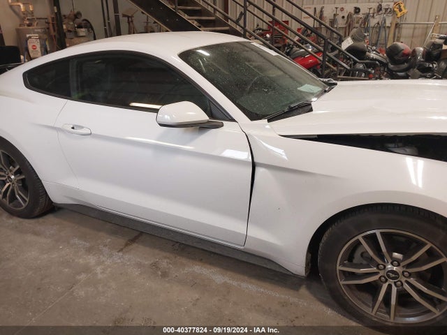 Ford Mustang Ecoboost 2017 1FA6P8TH7H5300922 Image 13