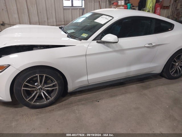 Ford Mustang Ecoboost 2017 1FA6P8TH7H5300922 Image 14