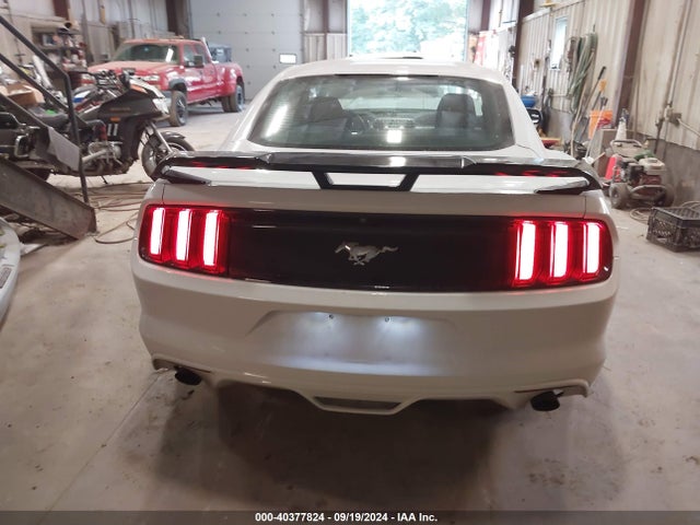 Ford Mustang Ecoboost 2017 1FA6P8TH7H5300922 Image 16