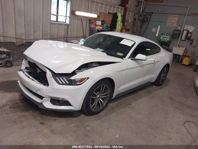 Ford Mustang Ecoboost 2017 1FA6P8TH7H5300922 Image 2