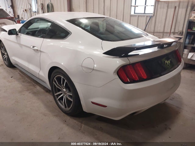 Ford Mustang Ecoboost 2017 1FA6P8TH7H5300922 Image 3