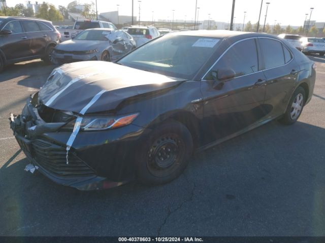 4T1B31HK8JU501011 Toyota Camry Hybrid Le