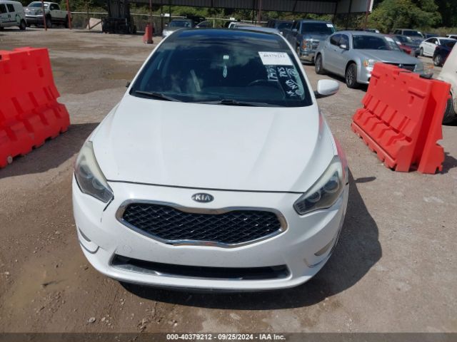 KNALN4D72F5174397 KIA Cadenza Premium