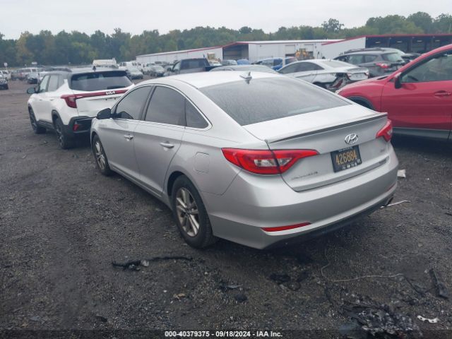 5NPE24AA9FH115545 Hyundai SONATA ECO