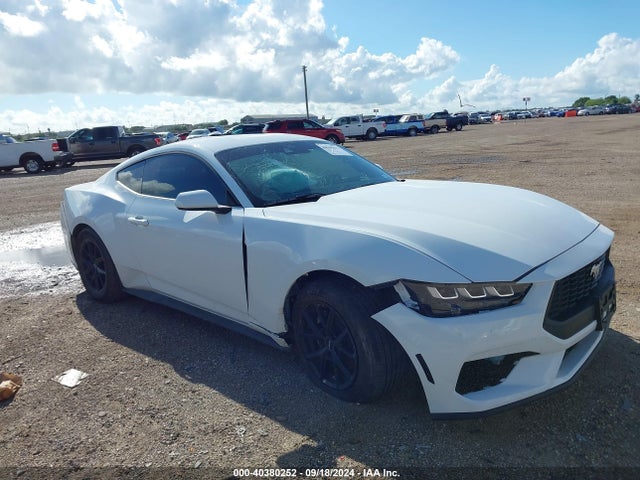 Ford Mustang Ecoboost Fastback 2024 1FA6P8THXR5121453 Image 13