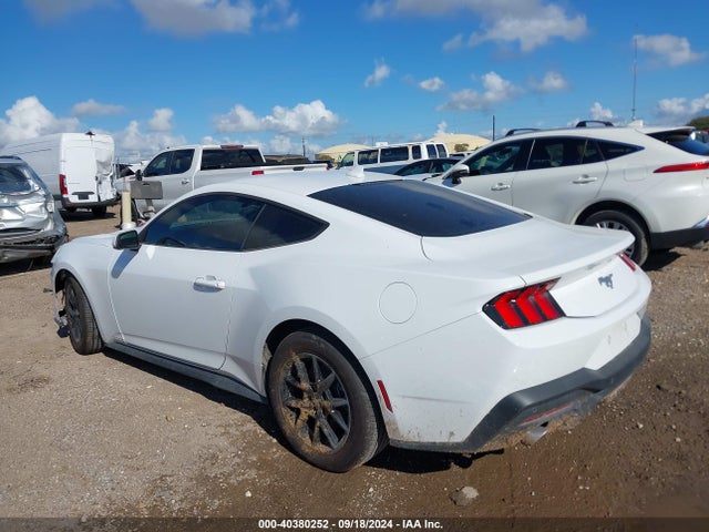 Ford Mustang Ecoboost Fastback 2024 1FA6P8THXR5121453 Image 14