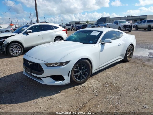 2024 FORD MUSTANG 1FA6P8THXR5121453 Photo 1