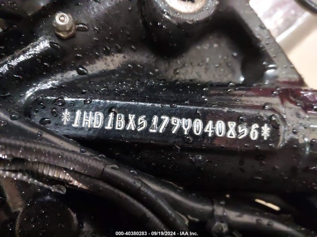 2009 HARLEY-DAVIDSON FLSTF 1HD1BX5179Y040856 Photo 9