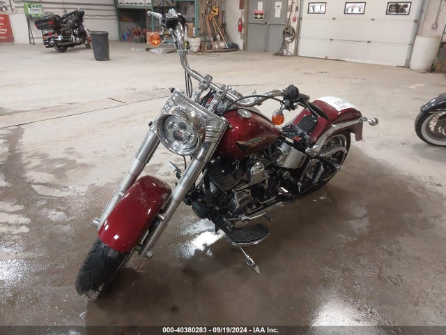 2009 HARLEY-DAVIDSON FLSTF 1HD1BX5179Y040856 Photo 1