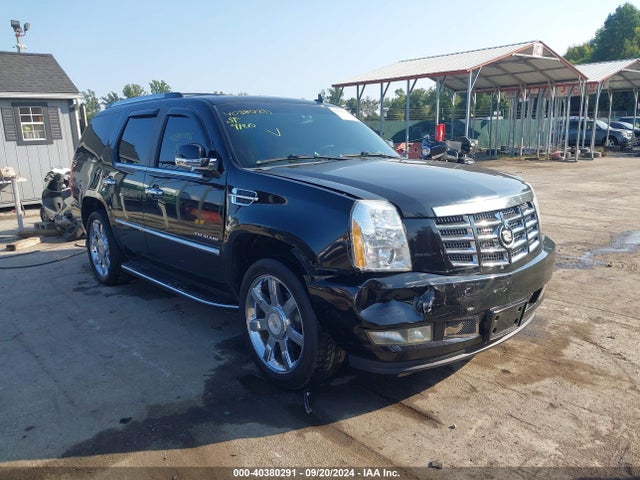 2010 CADILLAC ESCALADE 1GYUKBEF3AR236850 Photo 0