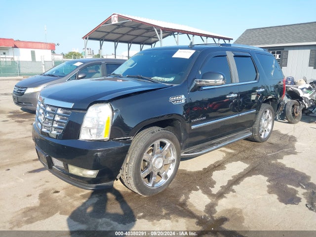 2010 CADILLAC ESCALADE 1GYUKBEF3AR236850 Photo 1