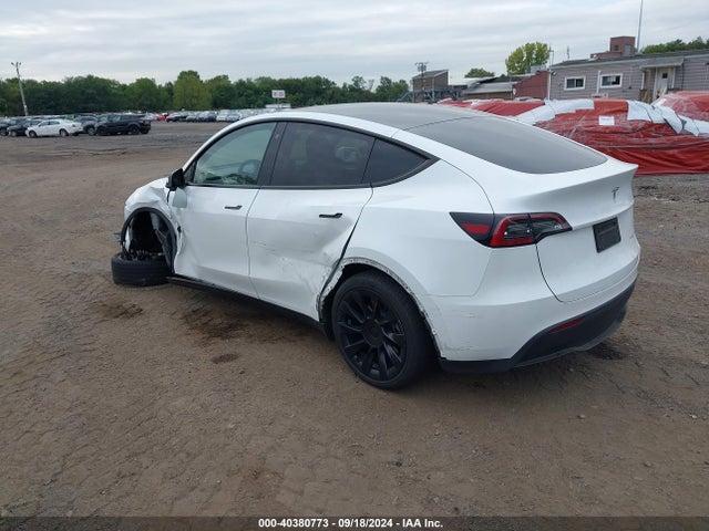 2023 TESLA MODEL Y 7SAYGDEE9PA071235 Photo 2