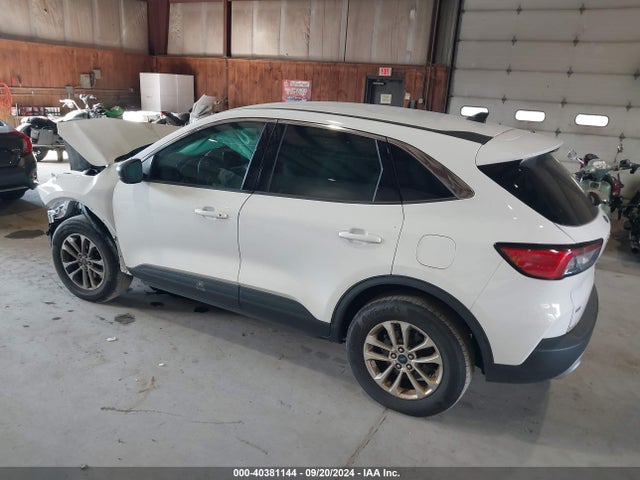Ford ESCAPE SE 2022 1FMCU9G6XNUB37877 Image 3