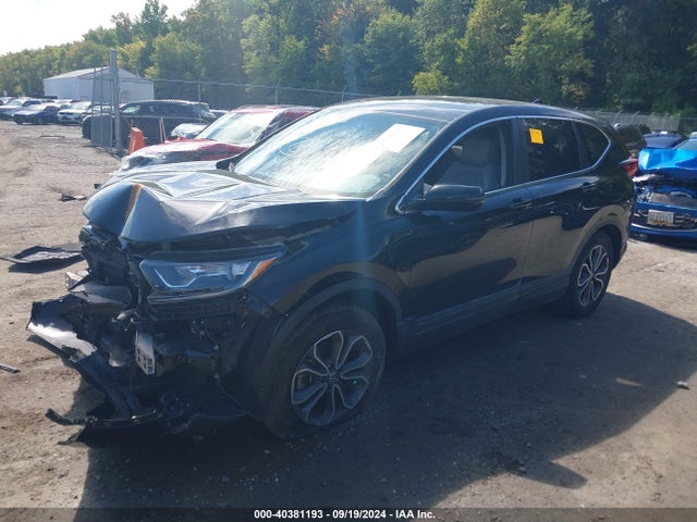 Honda Cr-v Awd Ex-l 2020 2HKRW2H83LH652792 Image 2
