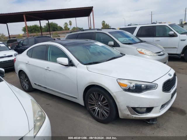 KNALN4D77G5218198 KIA Cadenza Premium