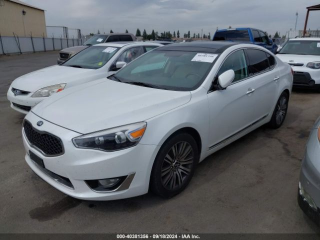 KNALN4D77G5218198 KIA Cadenza Premium