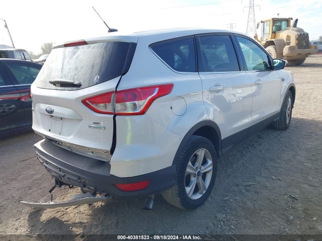 Ford ESCAPE SE 2016 1FMCU0G96GUC23406 Image 4