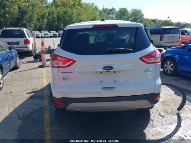 1FMCU0GX9EUC02481 Ford ESCAPE SE
