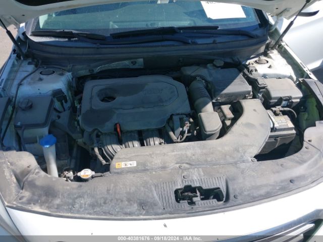 5NPE24AF6GH393834 Hyundai Sonata
