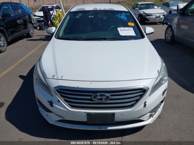 5NPE24AF6GH393834 Hyundai Sonata