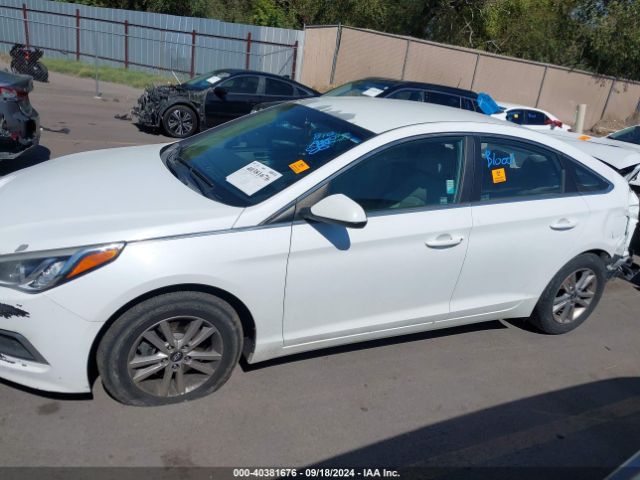 5NPE24AF6GH393834 Hyundai Sonata