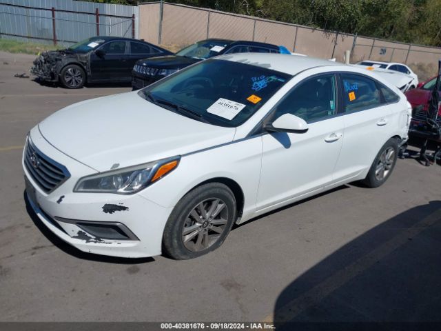 5NPE24AF6GH393834 Hyundai Sonata
