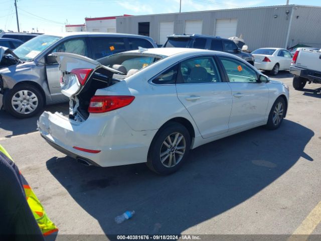 5NPE24AF6GH393834 Hyundai Sonata