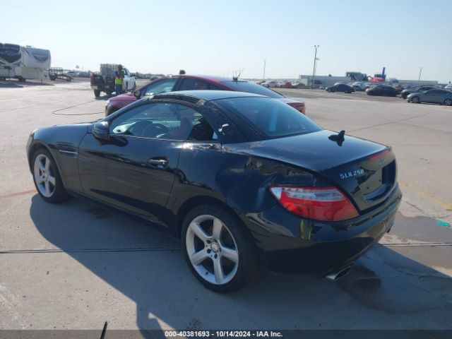 WDDPK4HA3EF082149 Mercedes-Benz SLK 250