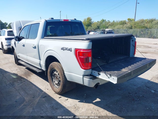 Ford F-150 Xlt 2023 1FTFW1ED5PFD00358 Image 3