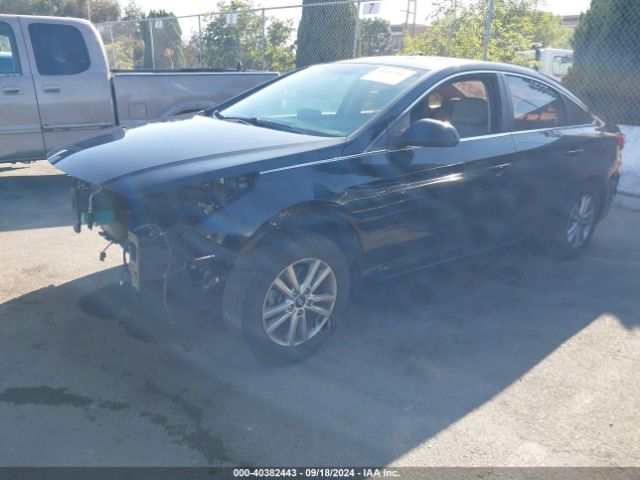 5NPE24AF6HH463379 Hyundai Sonata