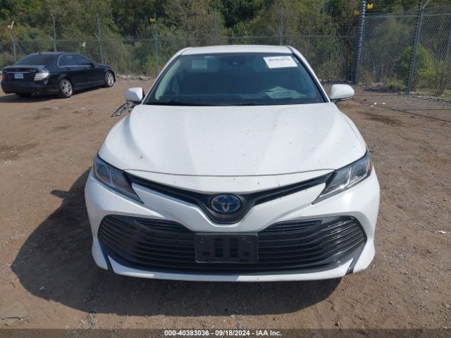 4T1B31HK6KU513692 Toyota Camry Hybrid Le