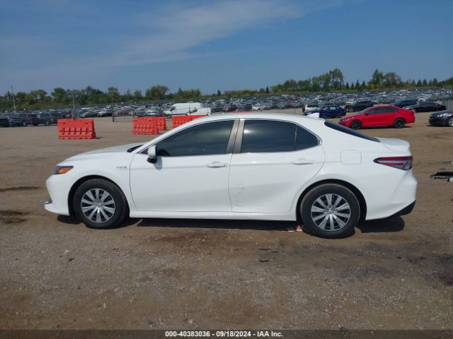 4T1B31HK6KU513692 Toyota Camry Hybrid Le