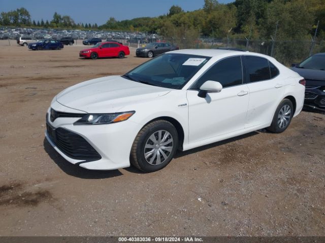 4T1B31HK6KU513692 Toyota Camry Hybrid Le