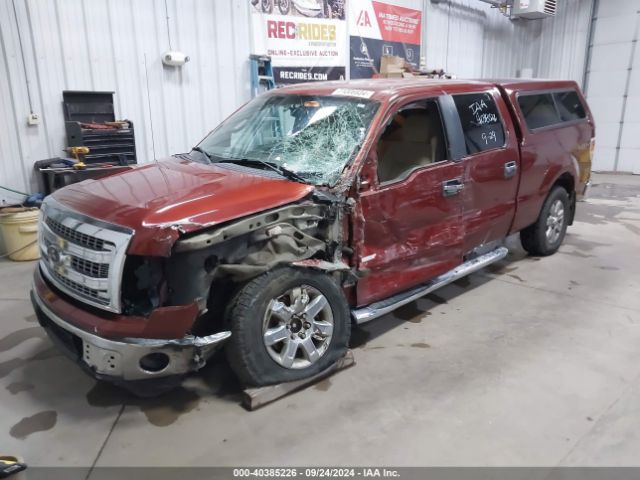 1FTFW1ET8EKF30584 Ford F-150 Xlt