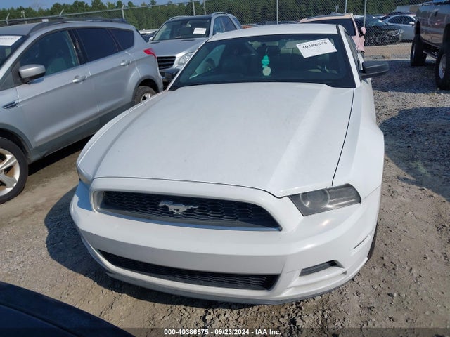 Ford Mustang V6 2014 1ZVBP8AM5E5265430 Image 12