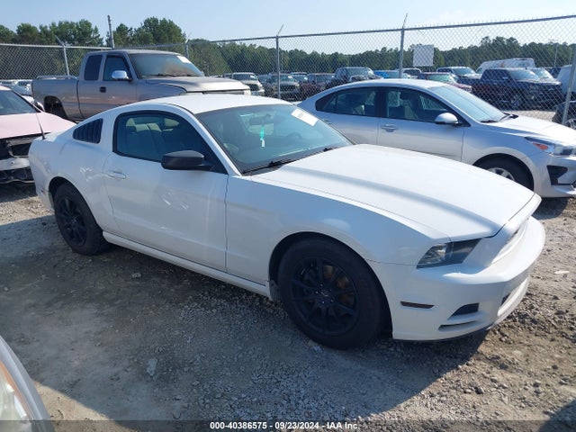 Ford Mustang V6 2014 1ZVBP8AM5E5265430 Image 13