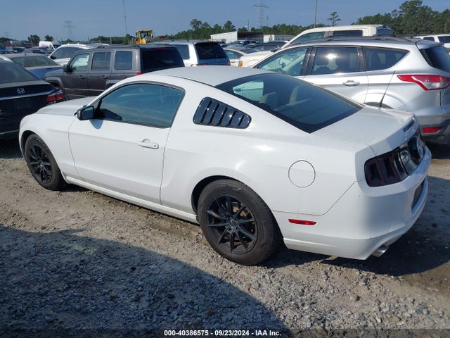 Ford Mustang V6 2014 1ZVBP8AM5E5265430 Image 14