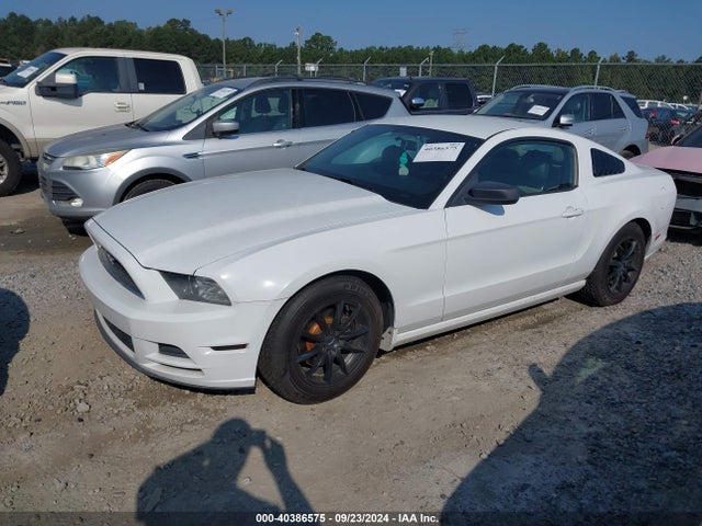 Ford Mustang V6 2014 1ZVBP8AM5E5265430 Image 2