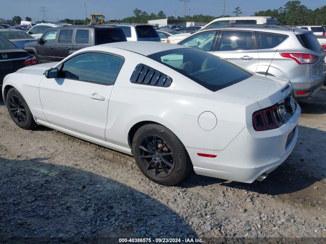 Ford Mustang V6 2014 1ZVBP8AM5E5265430 Image 3