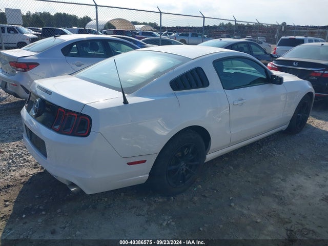 Ford Mustang V6 2014 1ZVBP8AM5E5265430 Image 4