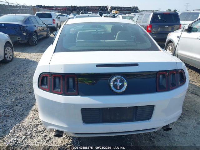 Ford Mustang V6 2014 1ZVBP8AM5E5265430 Image 6