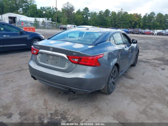1N4AA6AP0HC369831 Nissan Maxima 3.5 Platinum/3.5 S/3.5 Sl/3.5 Sr/3.5 Sv